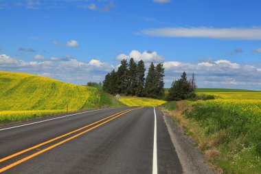 palouse içinde doğal dolaşık yol