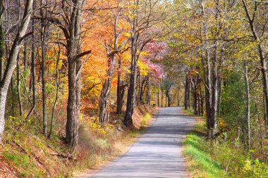 Batı Virginia'da dağ yolu