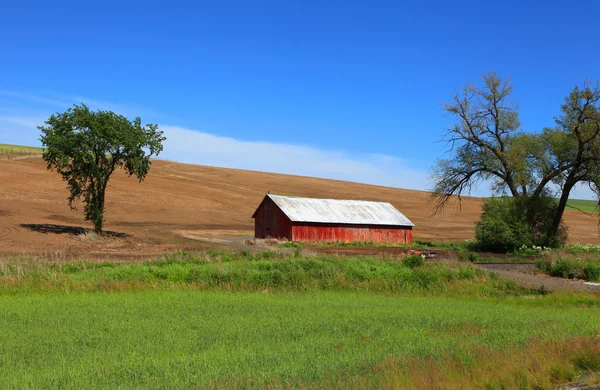 Old barn near Pullman — Stock Photo, Image