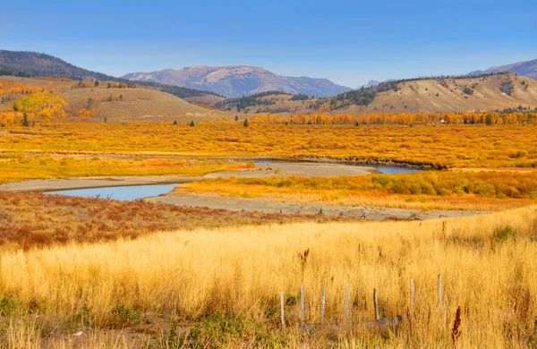 Podzim v yellowstone — Stock fotografie