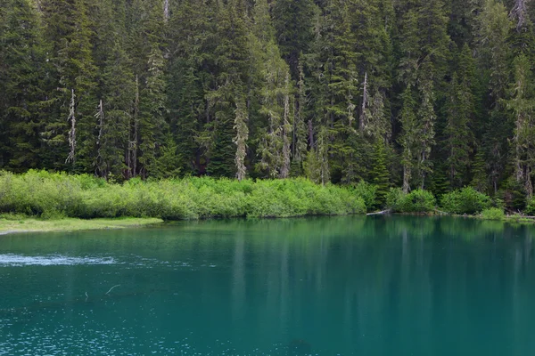 Reflexe jezero — Stock fotografie