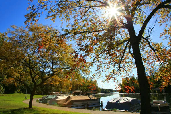 Mañana de otoño —  Fotos de Stock