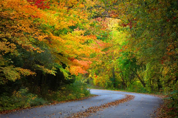 Schöne Herbstallee — Stockfoto