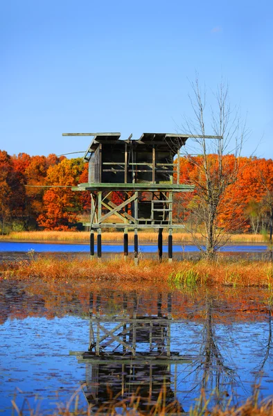 Wild leven uitkijkplatform — Stockfoto