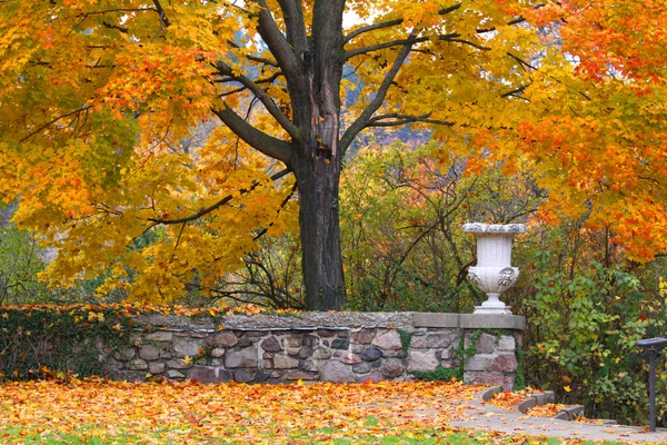 Jardín de otoño —  Fotos de Stock