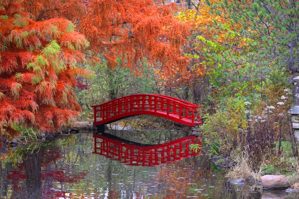 Sonbahar zaman Japon bahçesi — Stok fotoğraf