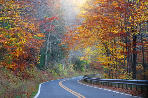 Misty unidad de otoño — Foto de Stock