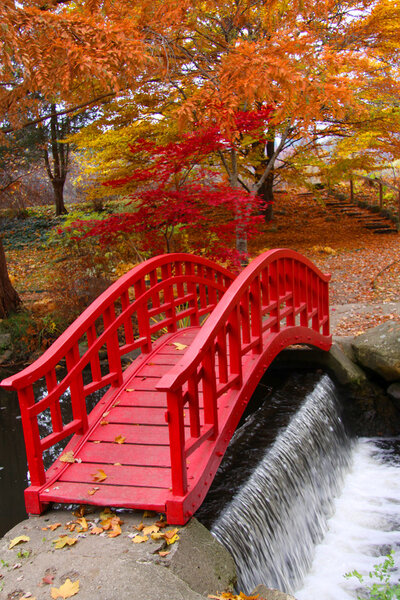 Японский сад