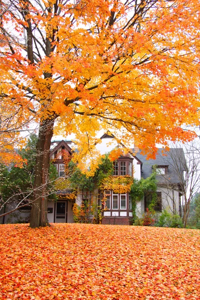 Historic Cranbrook house — Stock Photo, Image