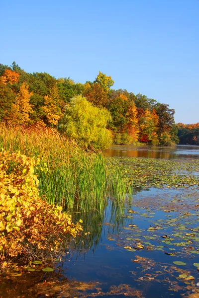 Kent paesaggio del lago — Foto Stock