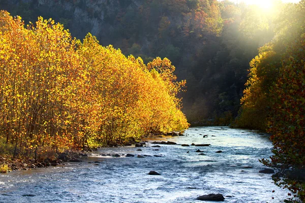 North fork potomac flod — Stockfoto