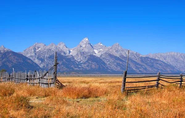 De Grand Tetons boven u uit — Stockfoto