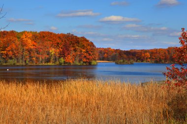 Michigan gölünde kent