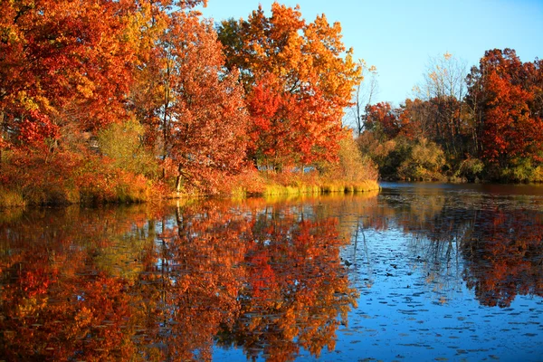 Autumn reflections — Stock Photo, Image