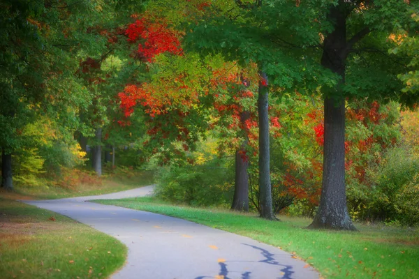 Biking trail — Stock Photo, Image