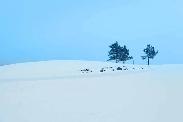 Cena de inverno — Fotografia de Stock