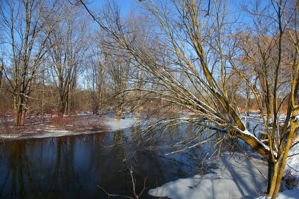 Fluss im Winter — Stockfoto