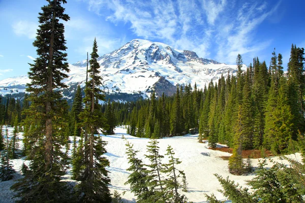 Mount Rainier — Stockfoto