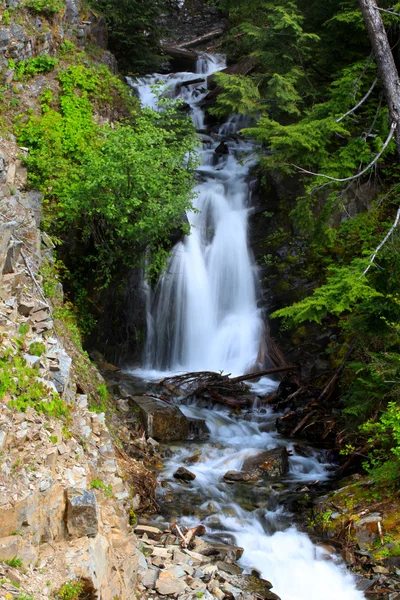 Water valt in Mount Rainier — Stockfoto