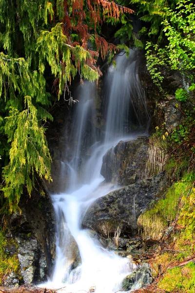 Cae el agua —  Fotos de Stock