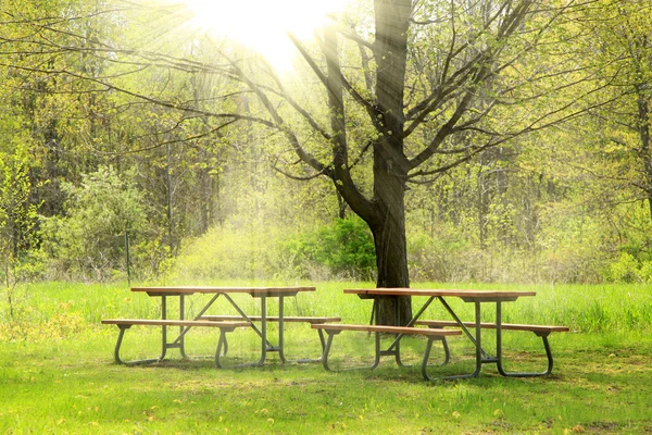 Hermosa escena de primavera — Foto de Stock