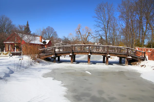 Paisaje escénico de invierno — Foto de Stock