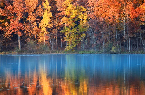 Höstens reflektioner — Stockfoto