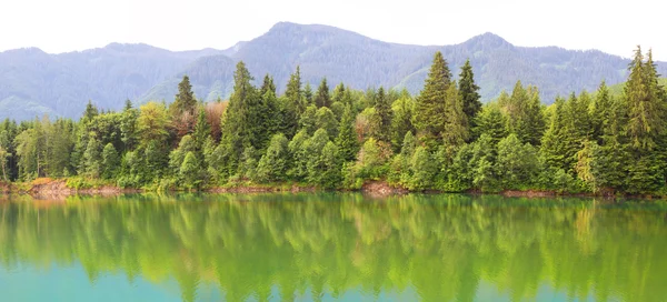 Refleksi sungai Cowlitz — Stok Foto