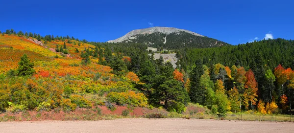 Осенний пейзаж Колорадо — стоковое фото