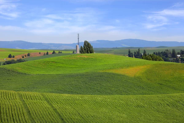 Collines vallonnées — Photo