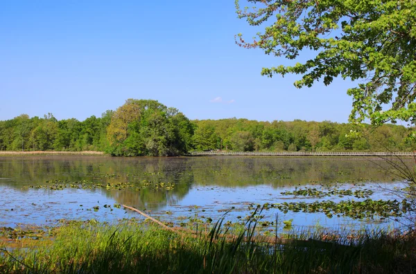 Kent sjön landskap — Stockfoto