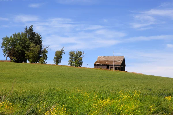 Amerikanische Farmlandschaft — Stockfoto