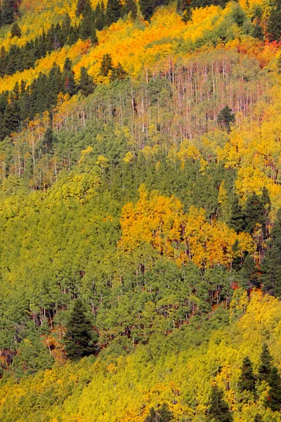 Colorado jesień krajobraz — Zdjęcie stockowe