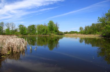 Michigan doğal Gölü