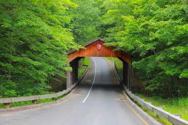Covered bridge in Michigan clipart