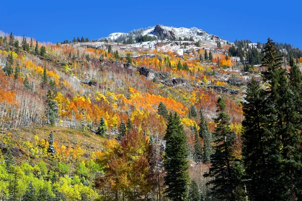 Otoño en Colorado — Foto de Stock