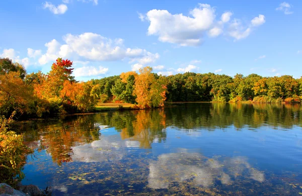 Autumn reflections — Stock Photo, Image