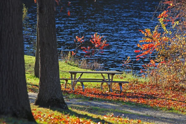 Picnic table under autumn trees — Stock Photo, Image