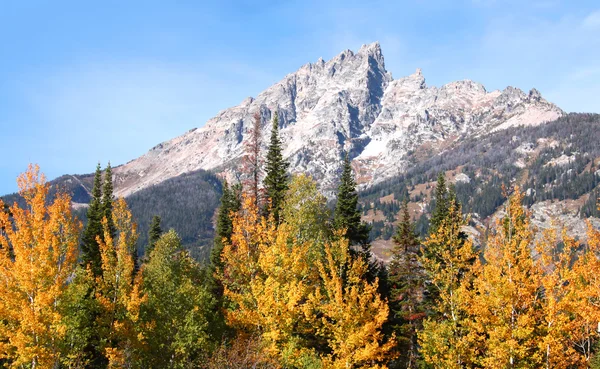 Grand Tetons — Stockfoto