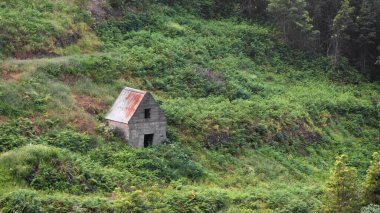 Small abandoned building on the lush green mountain slope in Madeira Island, Portugal.