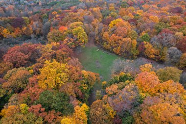Aerial view of colorful trees around children s park in autumn time, in scenic Maybury state park, Novi, Michigan