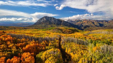 Aerial view of brilliant fall foliage at Kebler pass near Crested Butte, Colorado.