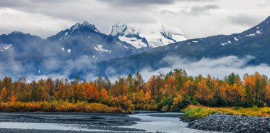 Renkli düşen ağaçların panoramik manzarası ve Valdez, Alaska yakınlarındaki alçak bulutlu kozalaklı ağaçlar..