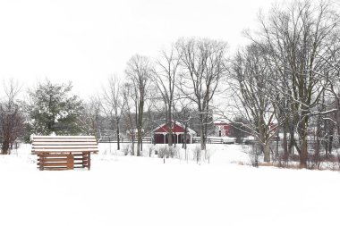 Michigan tarım arazisindeki kar fırtınası ile beyaz hava koşullarının manzarası.