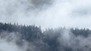Alaska countryside mountains ,cliffs caught in dense fog in the morning time dramatic landscape.