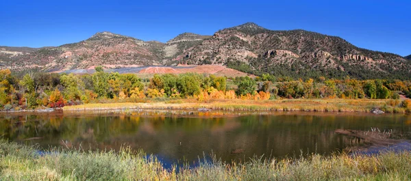 Осінь в Колорадо — стокове фото