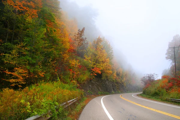 Mañana otoño en coche — Foto de Stock