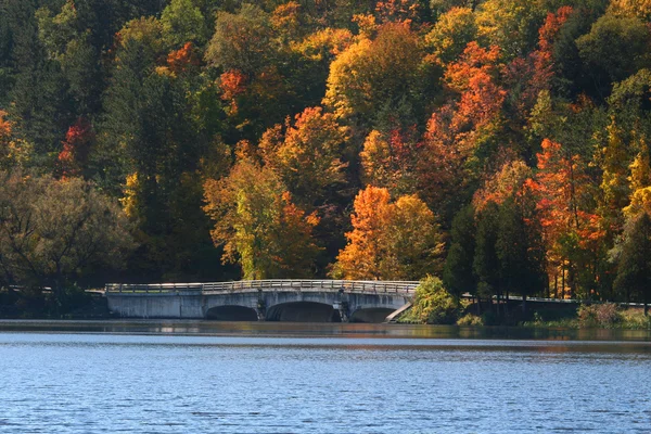 Floresta nacional de allegheny — Fotografia de Stock