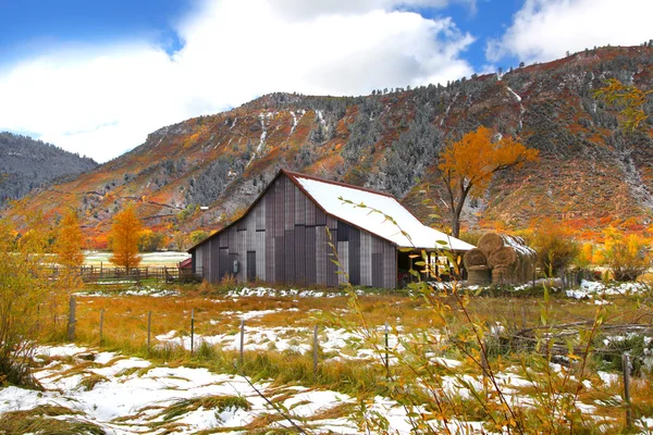 Colorado in late autumn — Stock Photo, Image