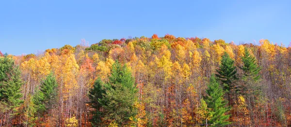 Осенняя панорама осенью — стоковое фото